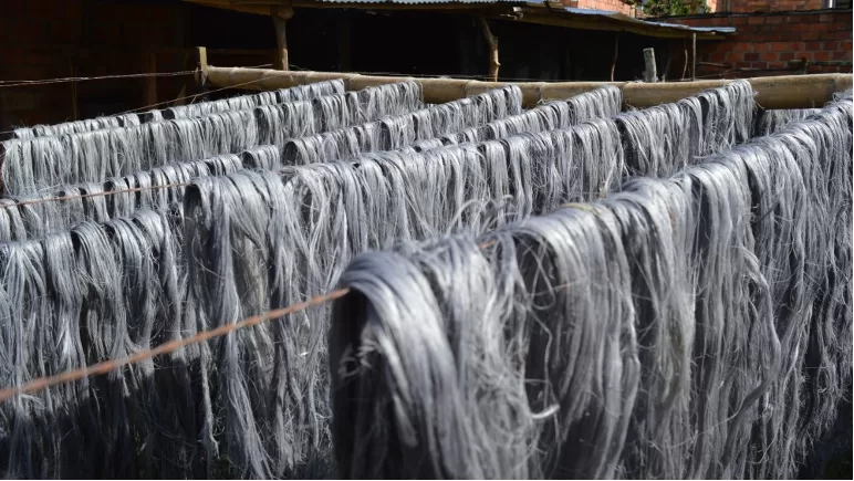 Cierre del recorrido por las marcas colombianas que buscan generar cambios reales en la industria